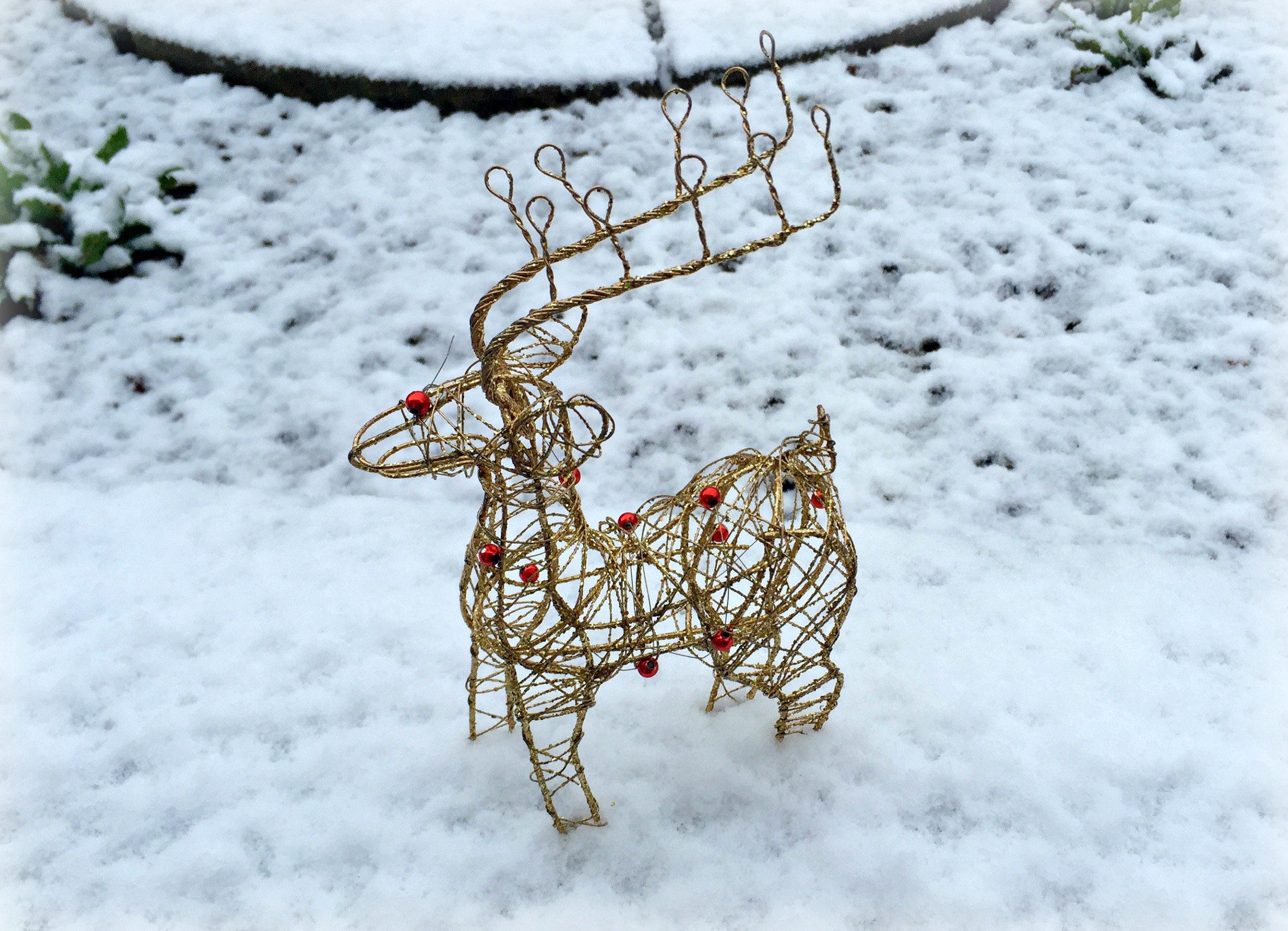 Christmas Blogger Q&A Series - Pandora