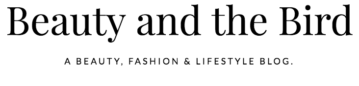 Christmas Blogger Q&A Series - Beauty and the Bird