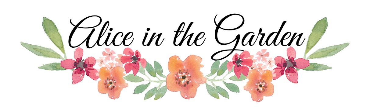 Christmas Blogger Q&A Series - Alice in the Garden