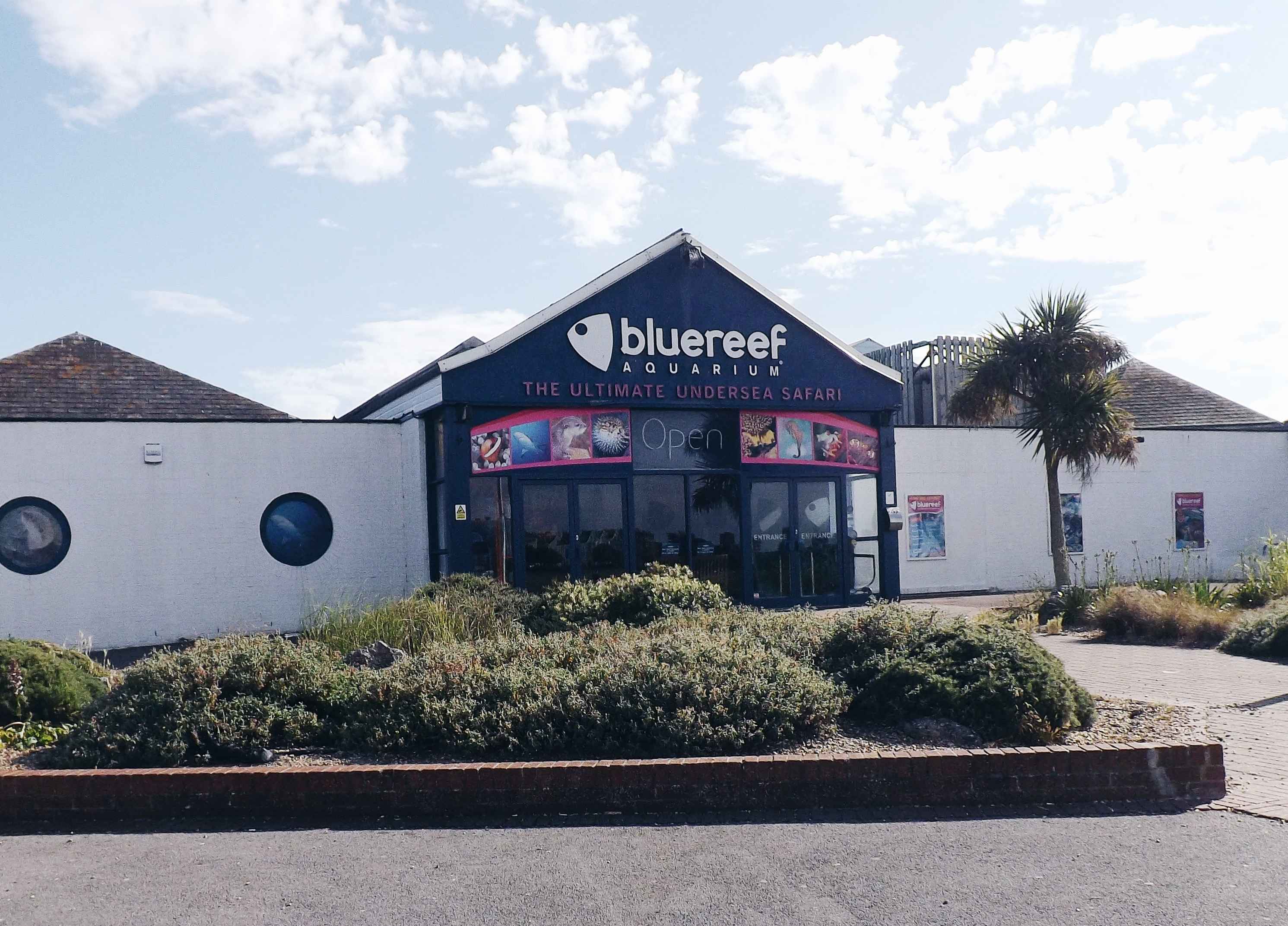 Portsmouth - Blue Reef Aquarium