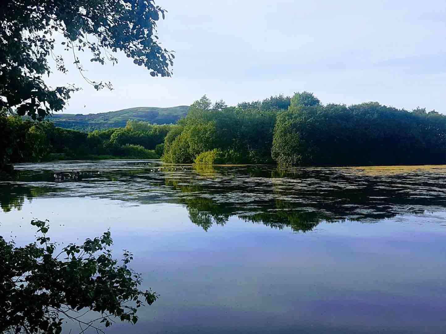 Belfast - Waterworks