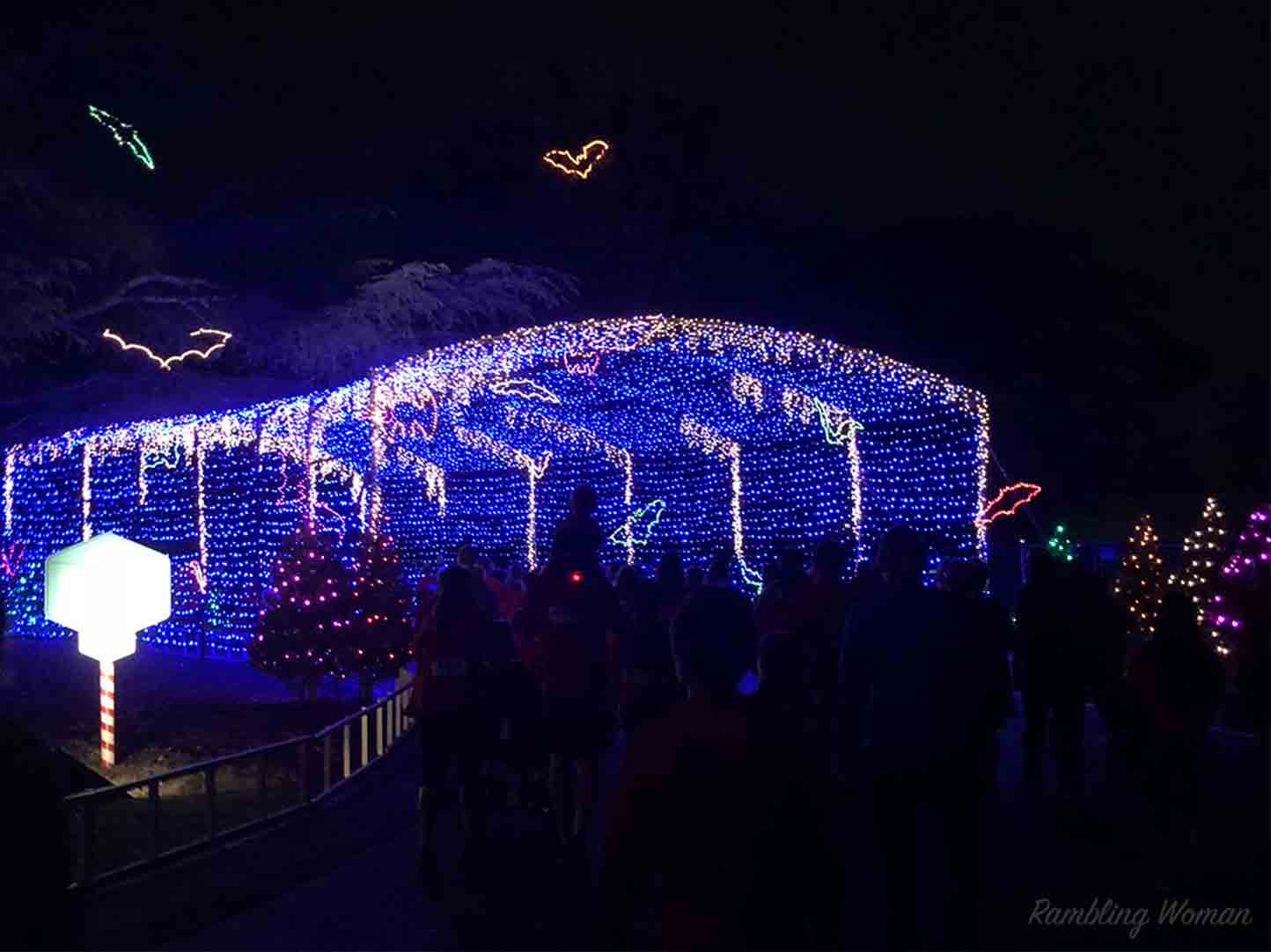 Rambling Woman // Christmas Blogger Q&A on Steph's World