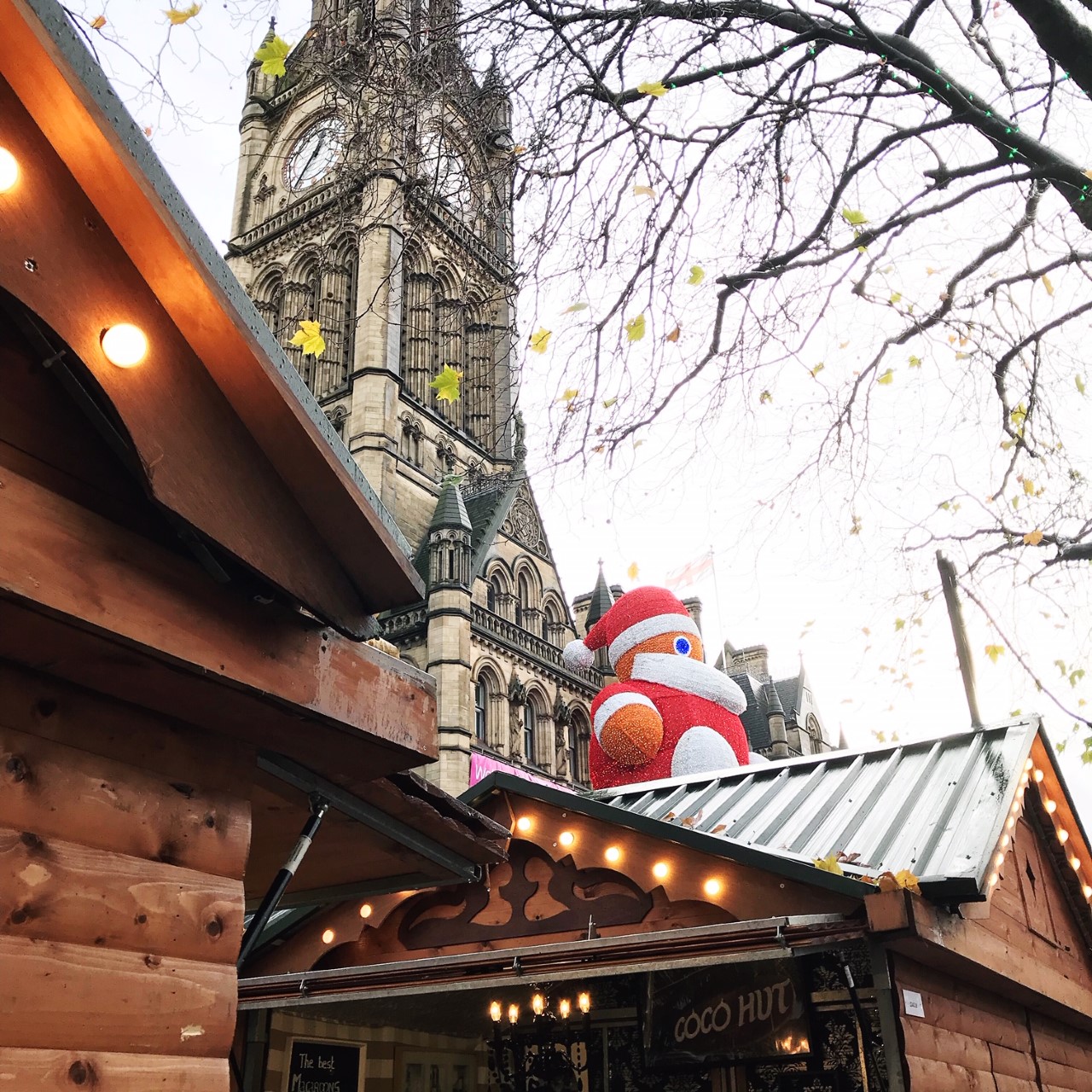 Daisy Grey // Christmas Blogger Q&A on Steph's World